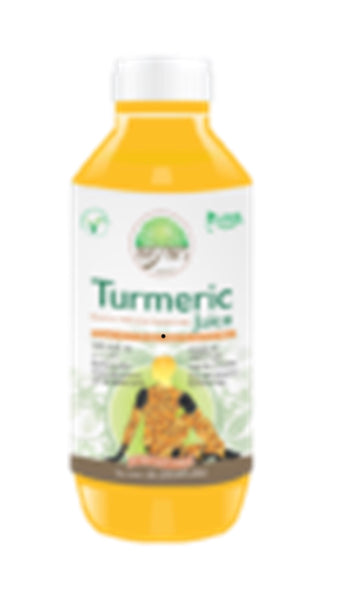 ARYAN TURMERIC JUICE 1LTR